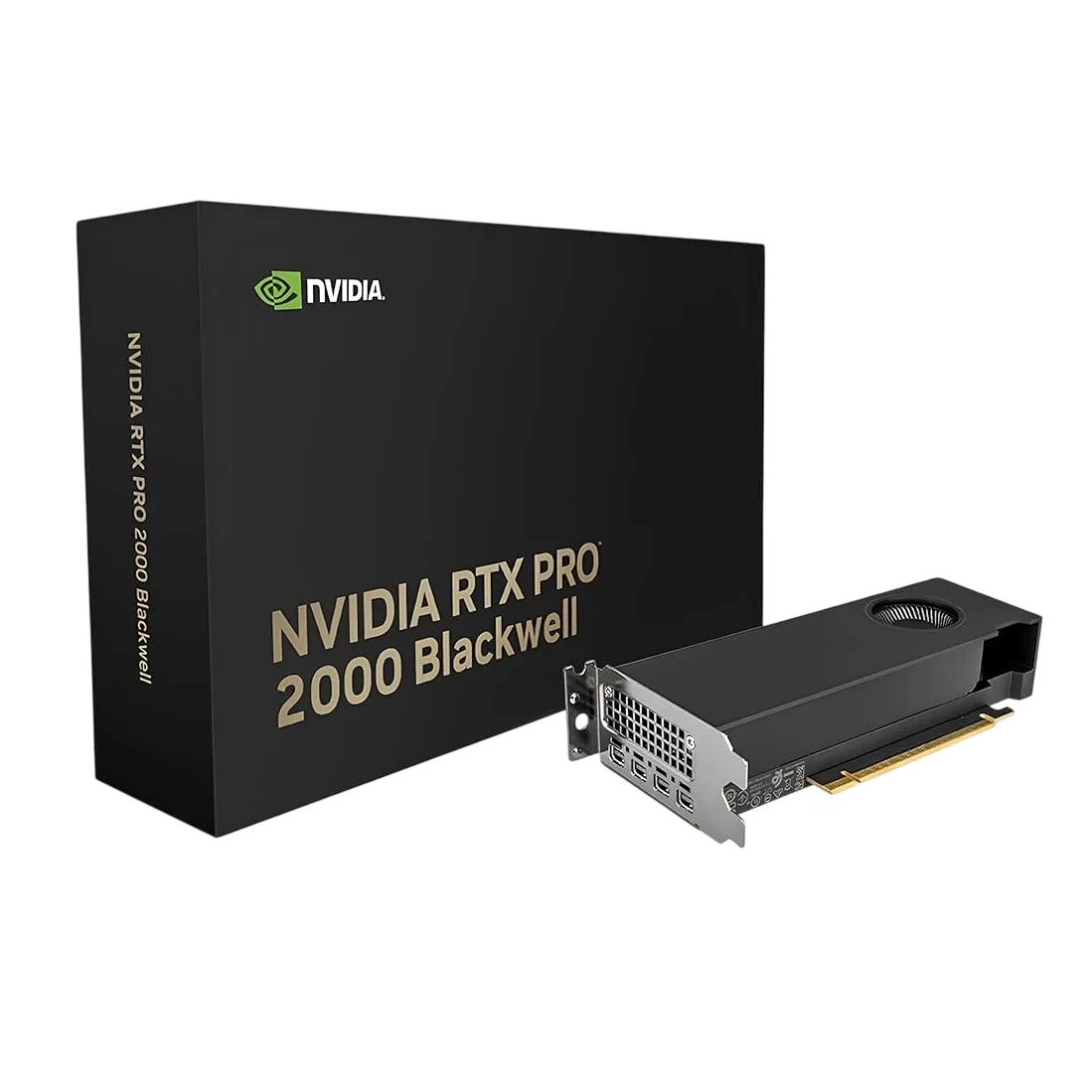 VGA PNY QUADRO RTX PRO 2000 BLACKWELL 16GB GDDR7 4X MINI DISPLAY PORT (6826)