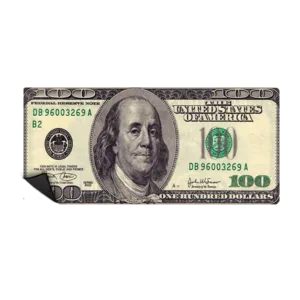 MOUSEPAD DOLLAR 90X40 MPTGS